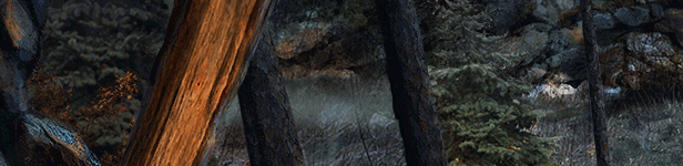 图片[4]-安卓手机游戏更新！《荒野探险v1.5.0》[完整版]Steam移植-仄言资源社